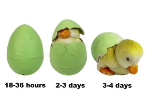 easter hatch eggs