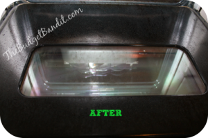 Steam Machine oven clean